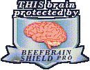 this page is protected by beefbrain shield pro
