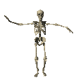cool skeleton